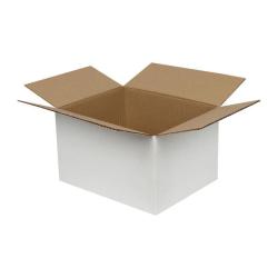 21x12x14 cm единична бяла кутия от велпапе