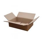 45x30x10 cm Двойно гофриран пакет Echoliner