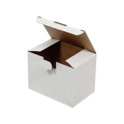 15x10x11 cm Кутия American Lock White