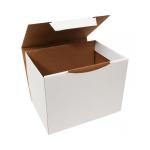 20,5x15x15 Бяла кутия