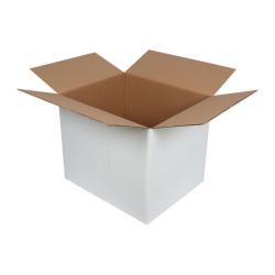 Двойна гофрирана бяла кутия 60x50x50 cm