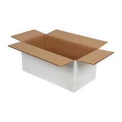 41x21x19 cm Двойна гофрирана бяла пратка