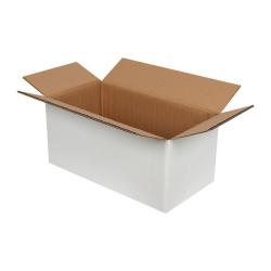 41x21x19 cm Двойна гофрирана бяла пратка