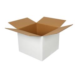 45x44x36 cm Двойна гофрирана бяла пратка