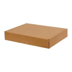 43,5х30,5х13,5 cm Кутия A3 с двойно велпапе